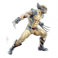 https://www.laurentdhermy.com/comic/files/gimgs/th-45_Wolverine 3.jpg
